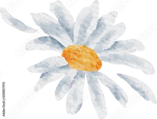 Fotografía Watercolor Daisy Flower Close Up