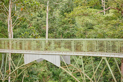 Sepilok, Sabah, Malaysia - Jan 2025: Forest canopy Sky Walk at the Rainforest Discovery Centre in Sepilok.