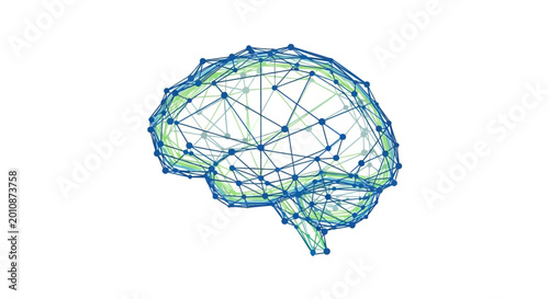 Digital human brain network wireframe on white background