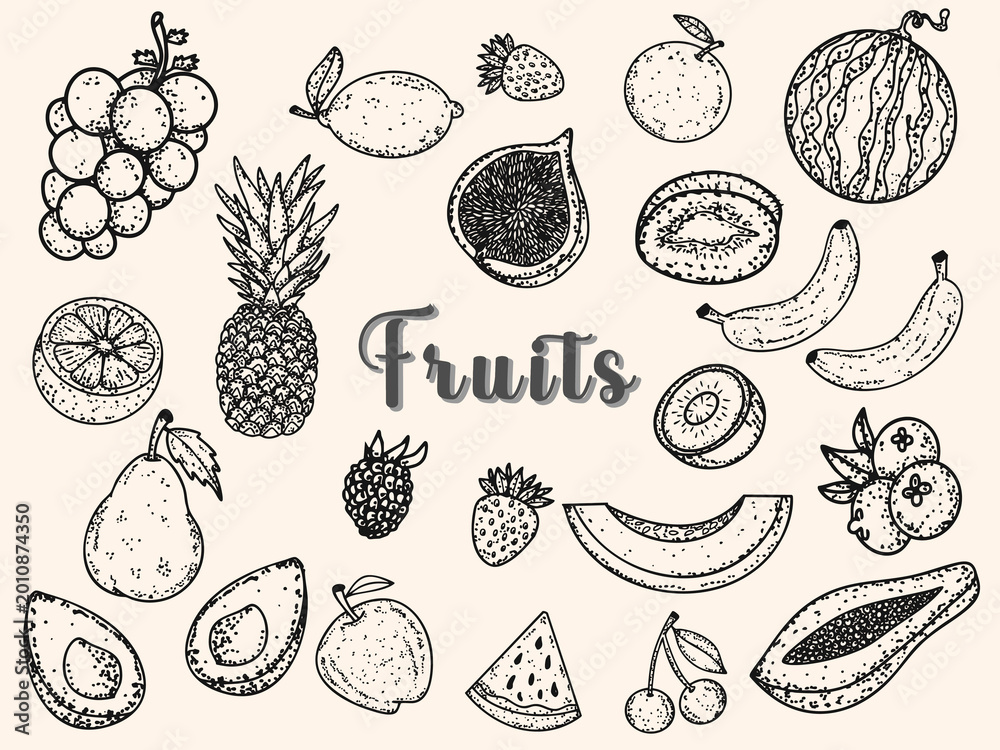 Fototapeta premium hand drawn doodle fruits illustration vintage botanical nature element