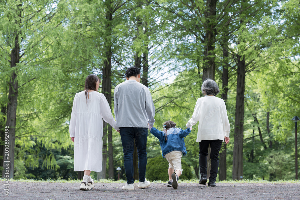 Fototapeta premium 新緑の公園を歩く三世代家族の手をつなぐ幸せなファミリーライフ顔無しの後ろ姿全身
