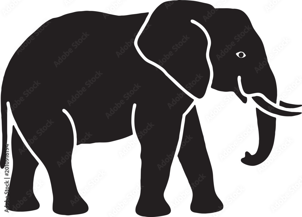 Fototapeta premium Majestic black silhouette of an african elephant with large tusks walking forward isolated on a white background representing safari wildlife and nature conservation themes, elephant
