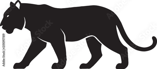 Black silhouette of a powerful panther or cougar walking in side profile view isolated on white background with silhouette wildlife predator carnivore stalking isolated illustration