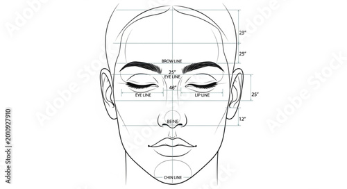 Foto Facial proportions diagram showing measurements and guidelines for accurate drawing