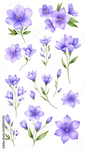 Watercolor illustration of several purple wildflowers with green leaves and buds, on a white background. Various arrangements present