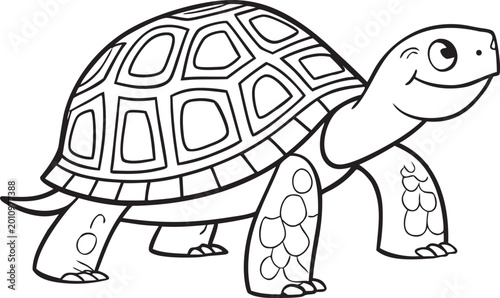 turtle vector illustration art