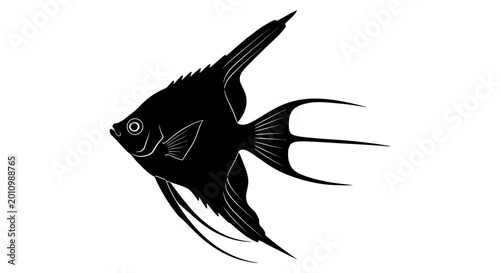 Φωτογραφία Angelfish silhouette icon