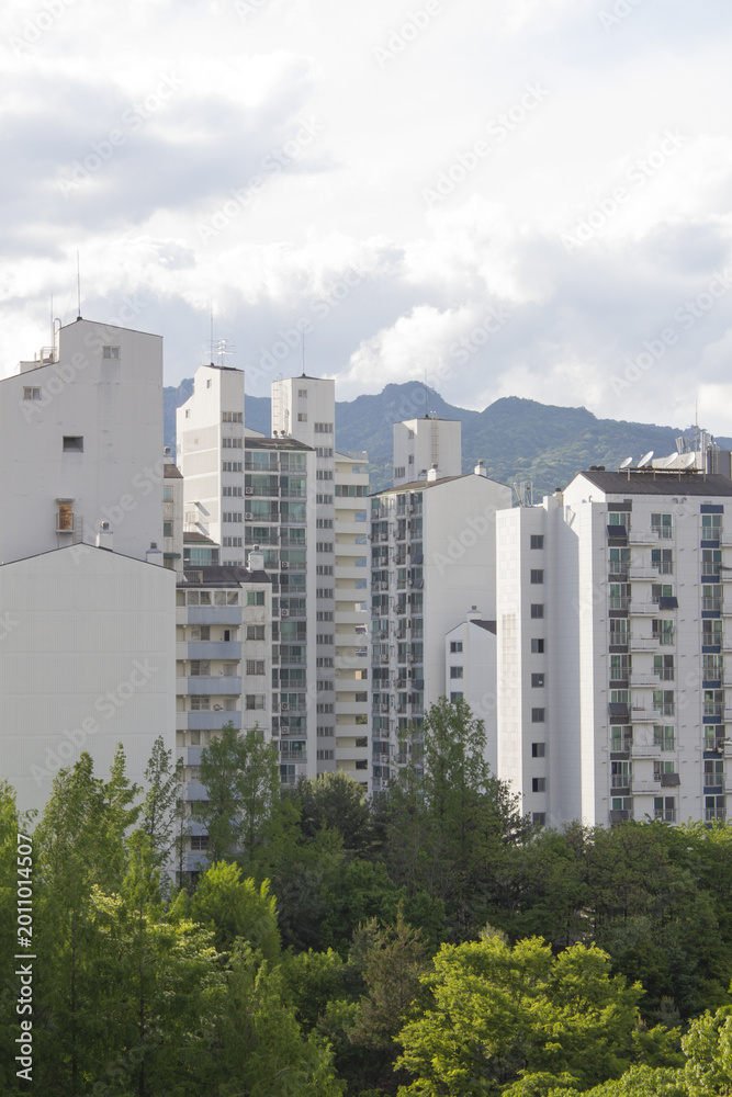 Fototapeta premium A landscape with forests and apartments