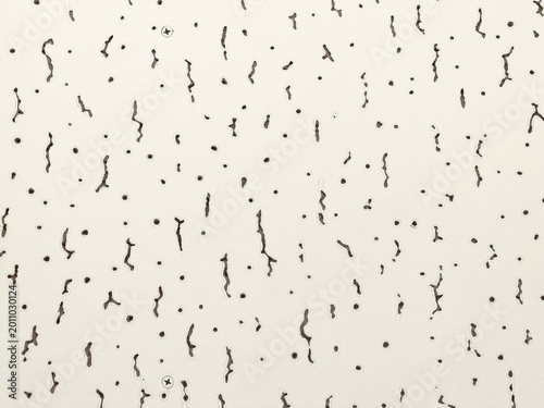 Fotografía Close up of white acoustic ceiling tile texture with holes