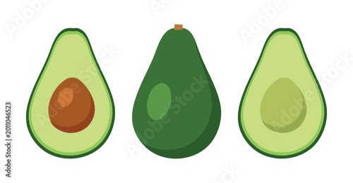 Obraz na płótnie Flat Vector Illustration of Fresh Avocado Varieties