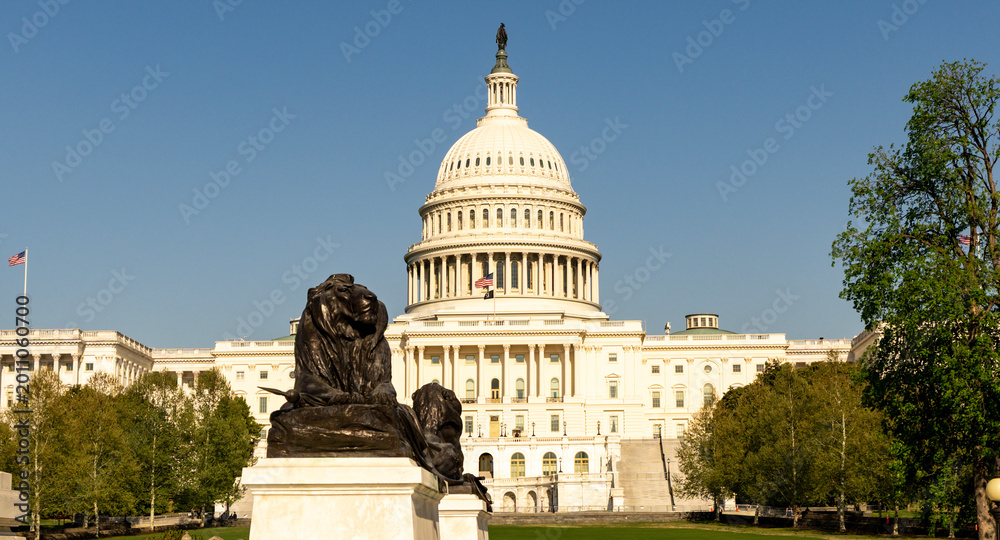 Naklejka premium Dome rises above Capitol building. Famous dome shows US government. Dome architecture defines Washington landmark. American flag flies near dome.