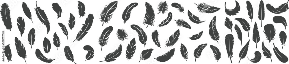 Obraz premium Hand drawn gray feather pattern vector neutral bird plume seamless background minimal abstract set