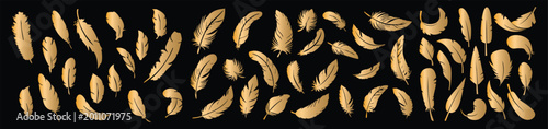 Bild auf Leinwand Hand drawn golden feather pattern vector luxury bird plume seamless decorative a