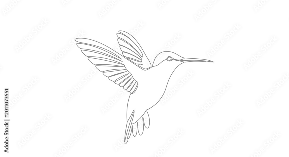 Fototapeta premium Elegant Hummingbird in Flight Line Art Illustration.