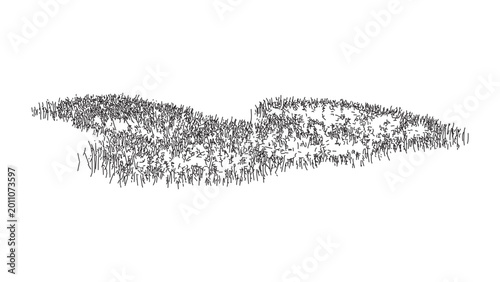 Low dense grass tufts sketch isolated on transparent background for landscape architectural.