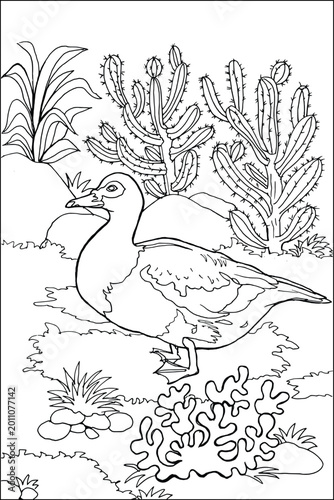 Bild auf Leinwand Cute Duck Standing in a Desert Landscape with Cactus and Rocks, Hand Drawn Vecto