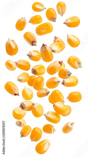 Fresh corn kernels isolated on white background for culinary and design uses