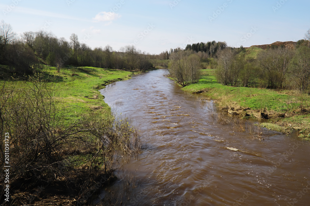 Fototapeta premium Tranquil River Flowing Through Lush Green Countryside In Spring