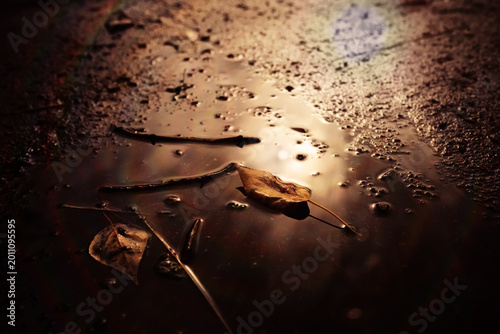 Tableau sur toile Beautiful Nature Autumn landscape