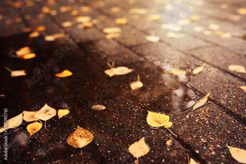 Konstfotografi Beautiful Nature Autumn landscape