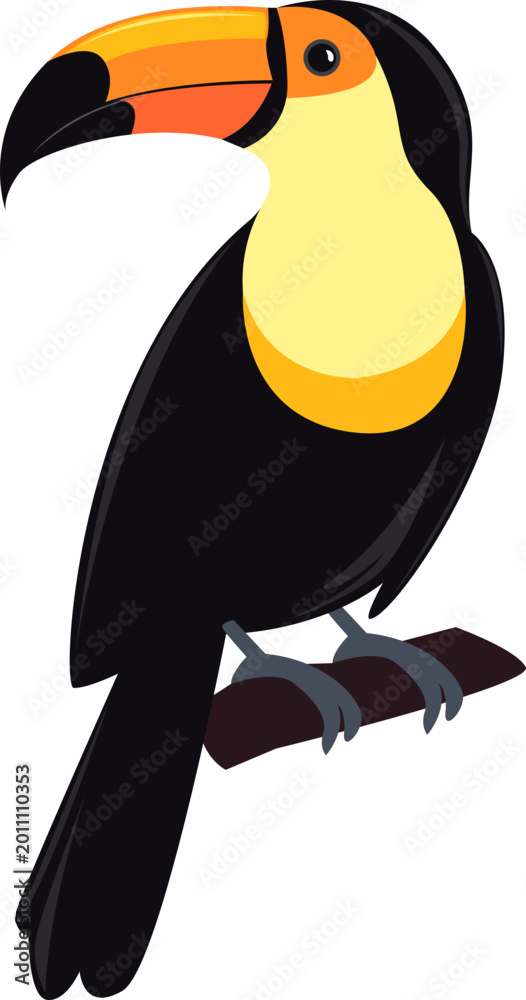 Fototapeta premium Toucan Bird Illustration