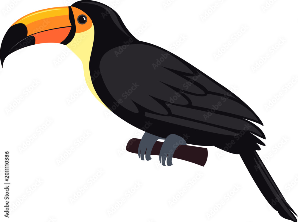 Fototapeta premium Toucan Bird Illustration