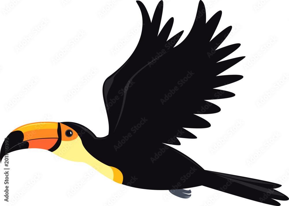 Obraz premium Toucan Bird Illustration