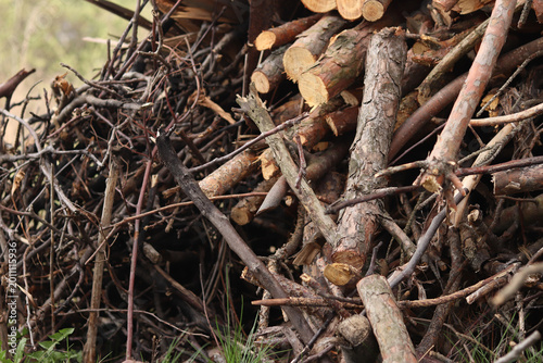 Принти на полотні Pile of dry brushwood and firewood close-up