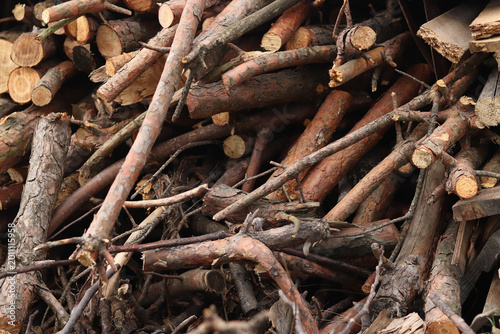 Canvas Print Pile of dry brushwood and firewood close-up