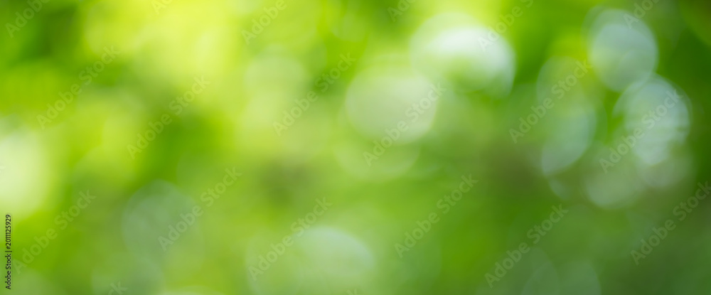 Fototapeta premium Nature view of abstract circular green bokeh background, nature light in blurred style, , Banner cover design.