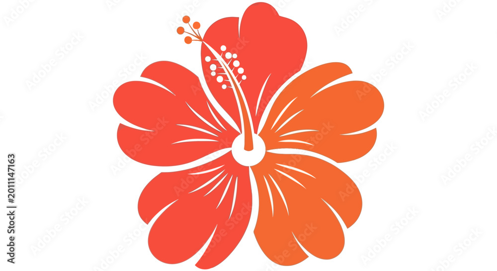 Obraz premium Vibrant red and orange hibiscus flower illustration with a prominent pistil and stamens on a white background.