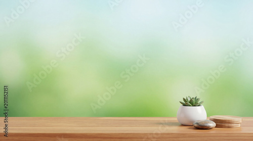 Fotografie Minimalist wooden table with a succulent plant and natural decor against a soft, blurred green background
