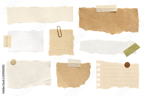 Collection of various torn paper scraps isolated on transparent background