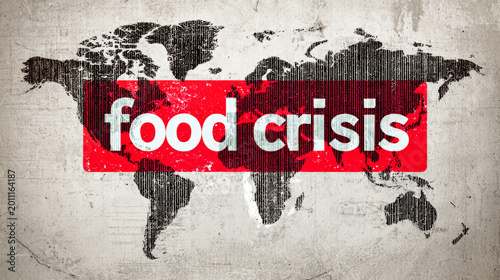 A world map in red and black displays the term food crisis prominently. The design features a gray background and a barcode, underscoring global food availability issues