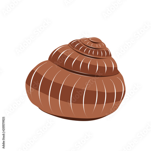 Brown spiral snail shell isolated on white background. Simple nature themed vector illustration perfect for biology, education and decorative design projects.