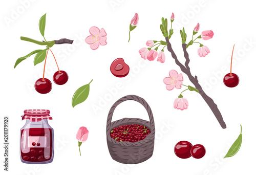 Cherry blossom set with flowers, cherries, basket and jam jar. Spring botanical collection perfect for seasonal design, packaging and nature projects.