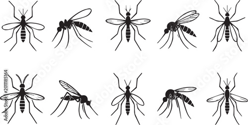 Tableau sur toile Mosquito insect silhouette icons, set of 10 black vector pests, parasitic gnat a