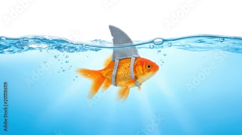 Funny goldfish with attached shark fin swimming in clear blue water representing ambitious behavior.