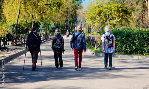 Cuadro en lienzo Four senior mature retired women talking and walking along in spring park