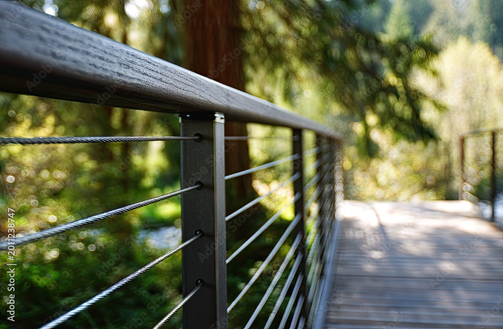 Fototapeta premium Modern wooden walkway with cable railing traverses a lush forest