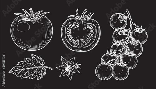 Photos Detailed white line illustrations on a black background featuring a whole tomato, a sliced half, and a fresh vine of cherry tomatoes with a leaf and flower