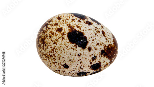 Fotografie Speckled quail egg with brown and black spots, isolated on transparent backgroun
