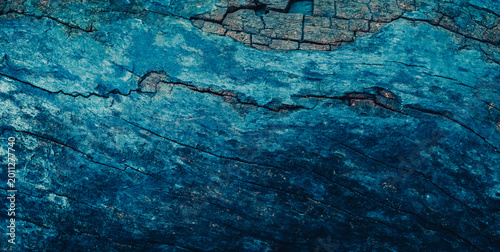 blue bark texture
