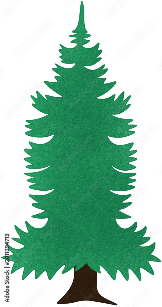 Fototapeta premium green pine tree illustration design