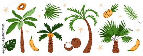 Tropical plants set. Summer flat vector illustration with palm trees, banana, pineapple, coconut, leaves  isolated on white background