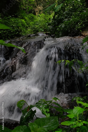 beautiful waterfall with trees and coral. water flows over dark, rugged stones, rocks creating staircase effect. The scene is serene natural landscape.