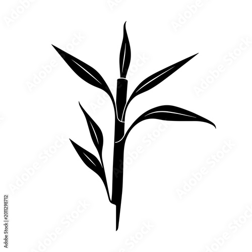 Simple and elegant black and white illustration of bamboo plant with detailed leaves and stem