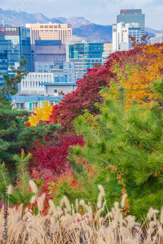 korean tower