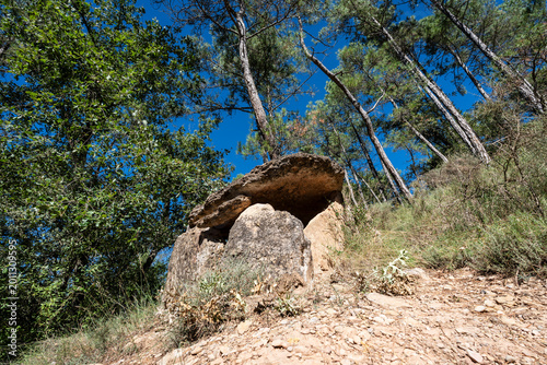 Cuadro en lienzo Necròpolis of Ceuró, medium Neolithic, close to the church of Sant Julià de Ceur