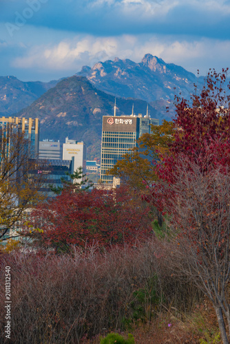 korean tower